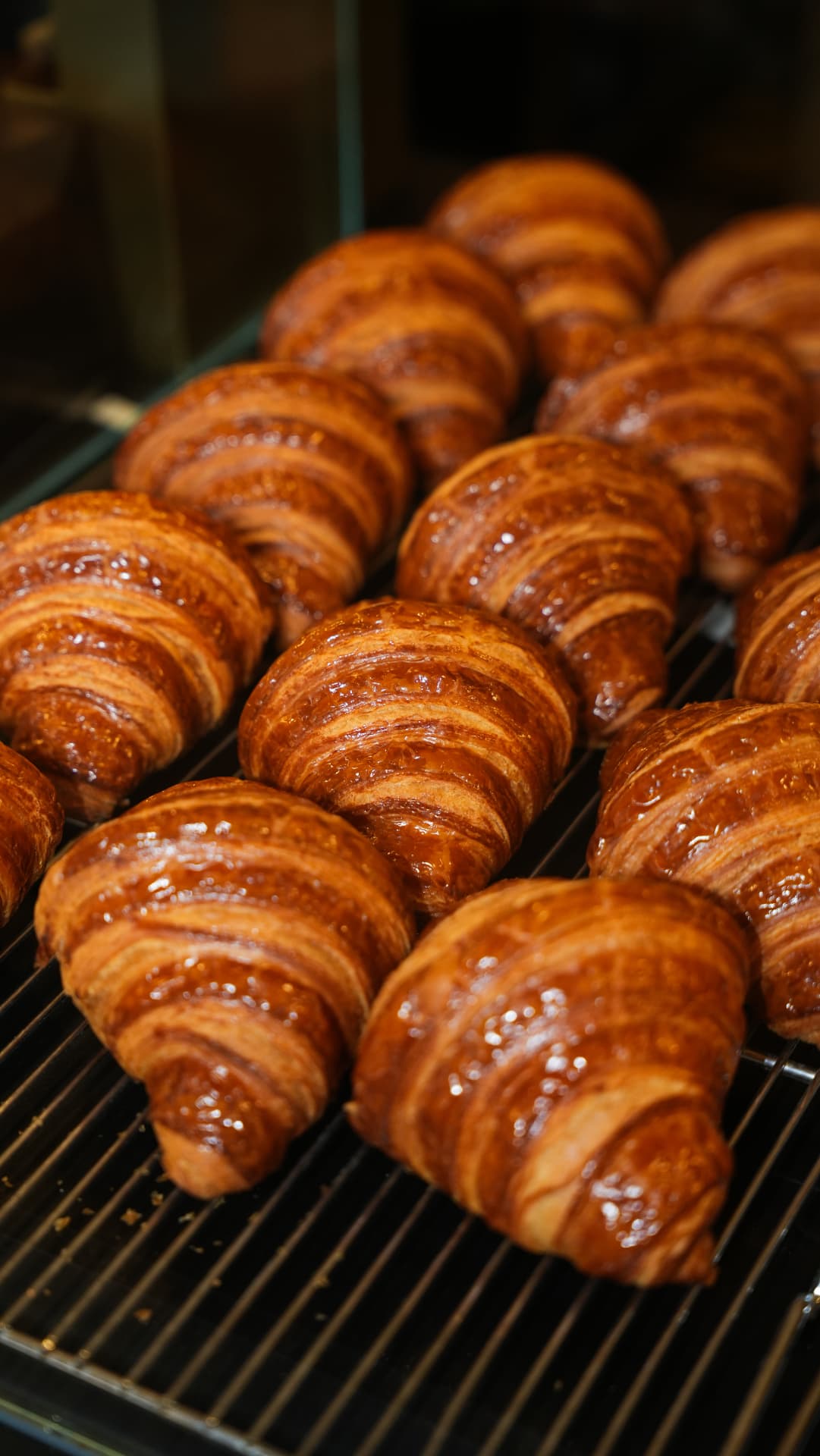 Fresh croissants cooling on a bakery rack